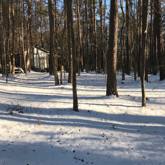 Meet your Posher, Valorie - Picture 1 of 1